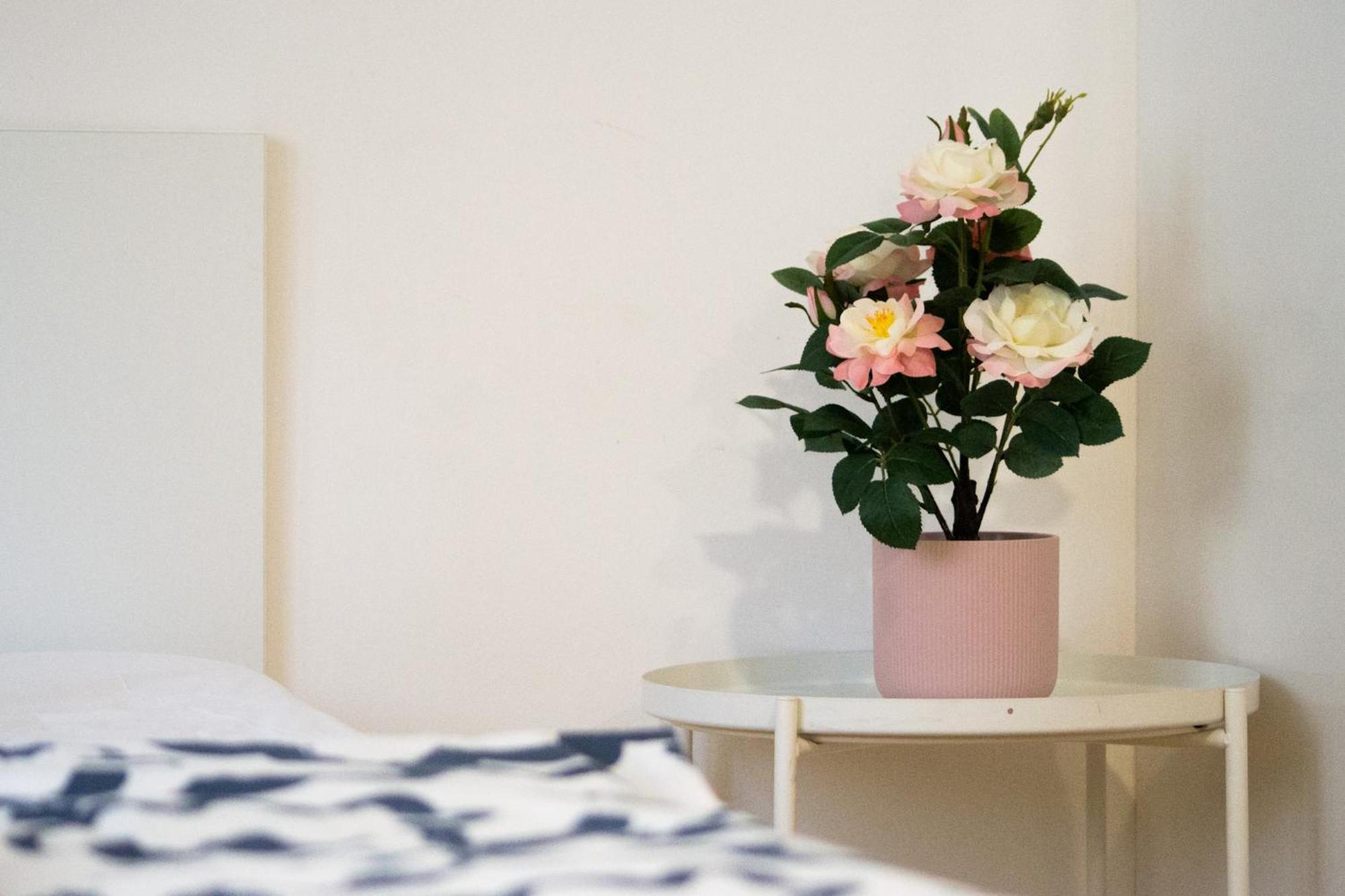 ブルノApartman Vlnaアパートメント エクステリア 写真