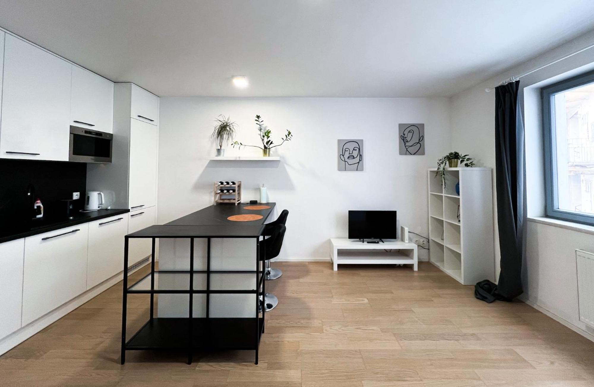 ブルノApartman Vlnaアパートメント エクステリア 写真