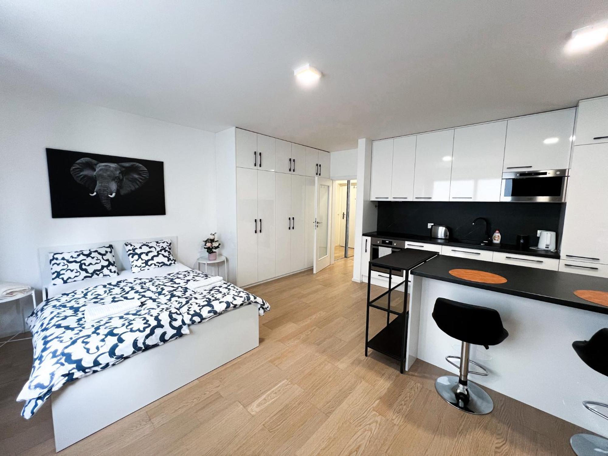 ブルノApartman Vlnaアパートメント エクステリア 写真